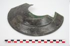 Foto von Bronzephalere (NHMW-PRAE-025561)
